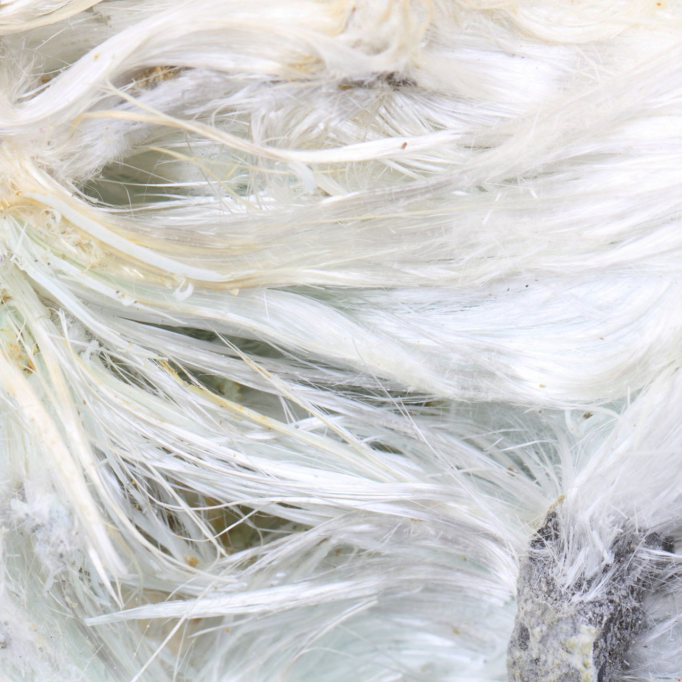 Asbestos fibres